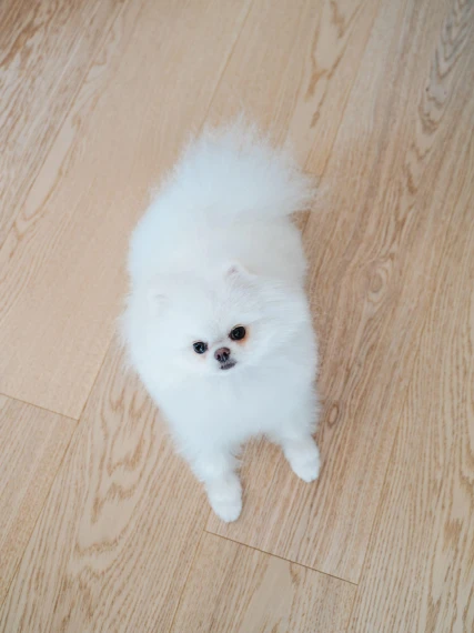 Паркетная Доска от Nani - прочный и экологичный 107