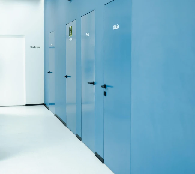 Filomuro окрашенная photo1