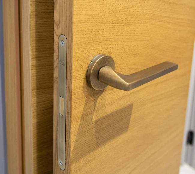 Дверь со Складным Механизмом photo4