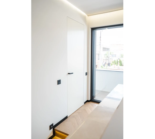 Filomuro окрашенная photo2