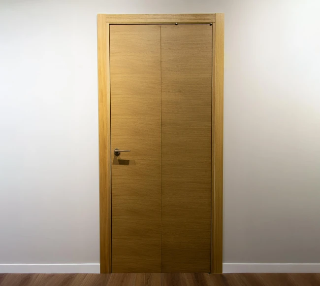 Дверь со Складным Механизмом photo1