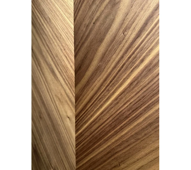 Filomuro JAGUAR photo3