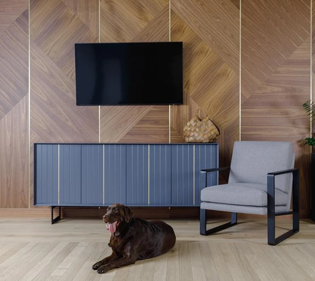 Panou Decorativ photo1