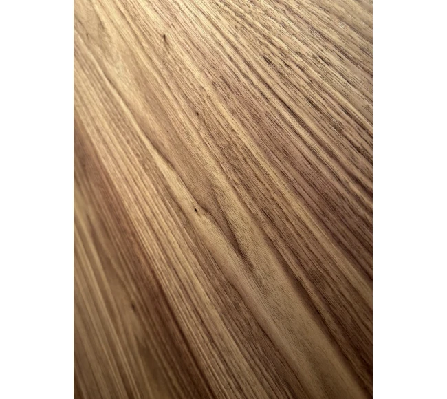 Filomuro JAGUAR photo2