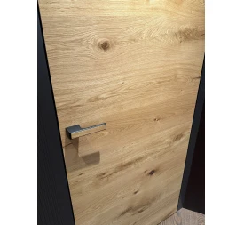 Filomuro COLISEUM photo5