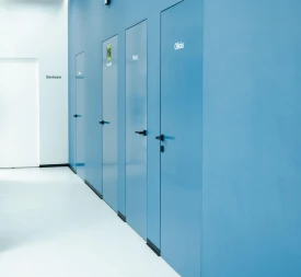 Filomuro окрашенная