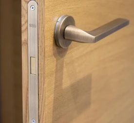 Дверь со Складным Механизмом photo8