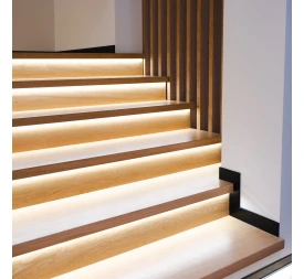 Ступени из Паркета