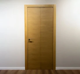 Дверь со Складным Механизмом