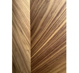 Filomuro JAGUAR photo3