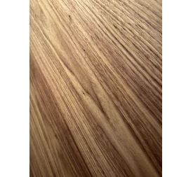 Filomuro JAGUAR photo2