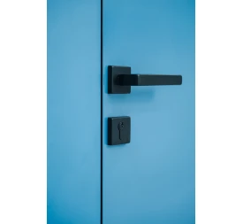 Filomuro окрашенная photo2